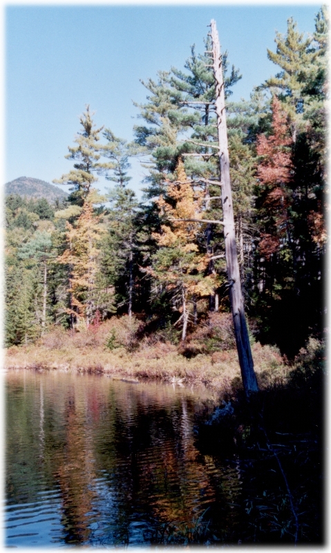 NH Lake, New England America.jpg